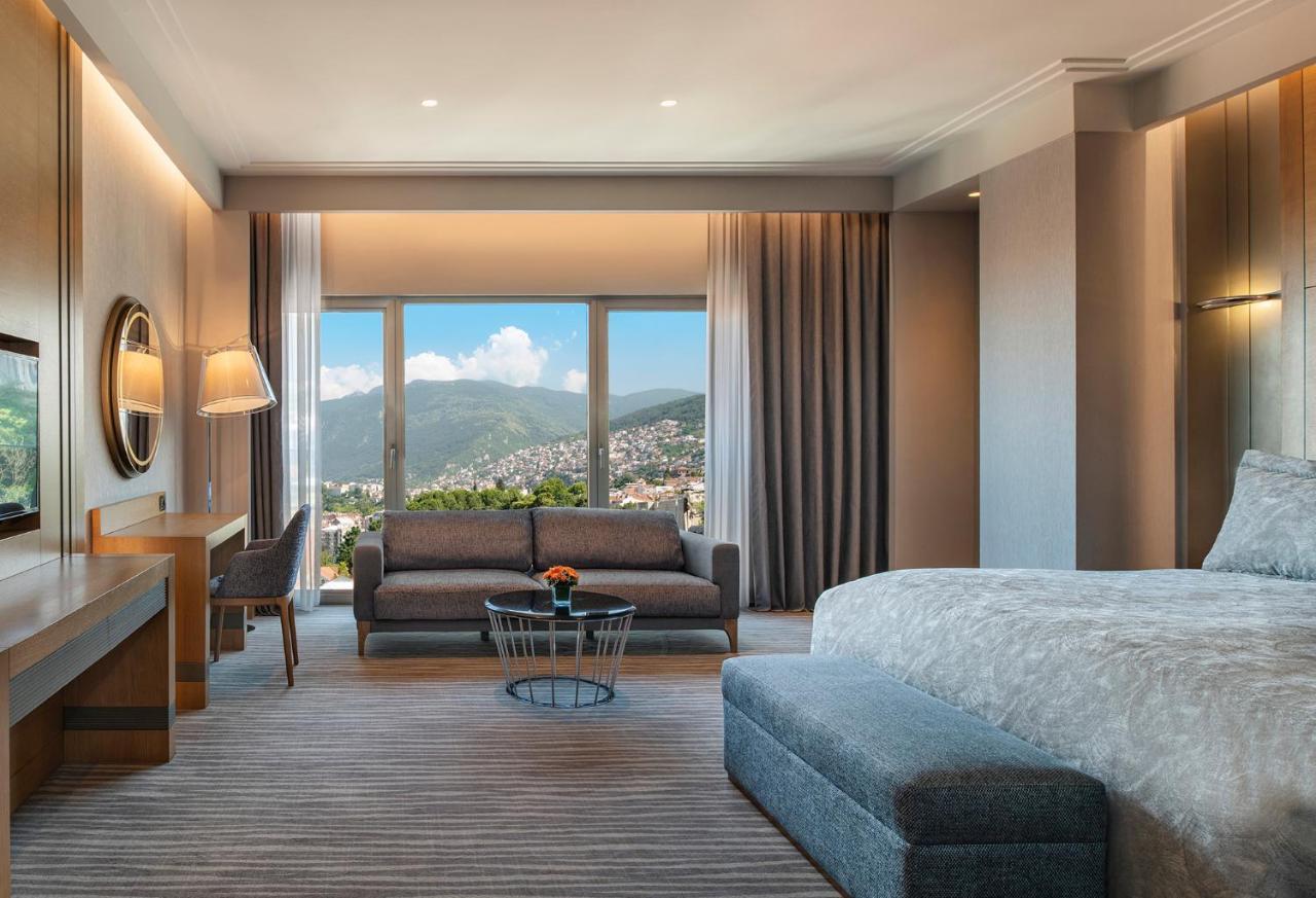 Moevenpick & Thermal 5* Bursa